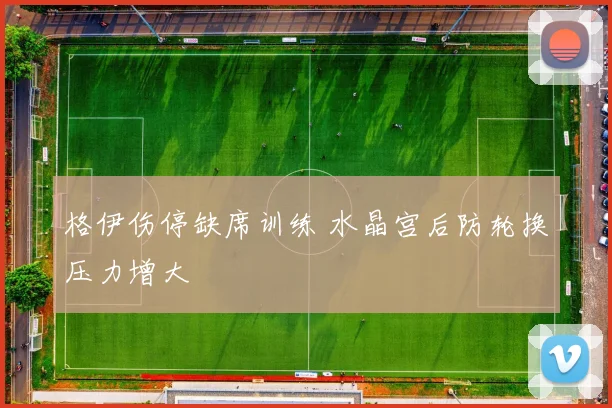 格伊伤停缺席训练 水晶宫后防轮换压力增大